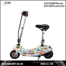 250W Motor Power Mini Scooter électrique avec batterie 24V 2 roues